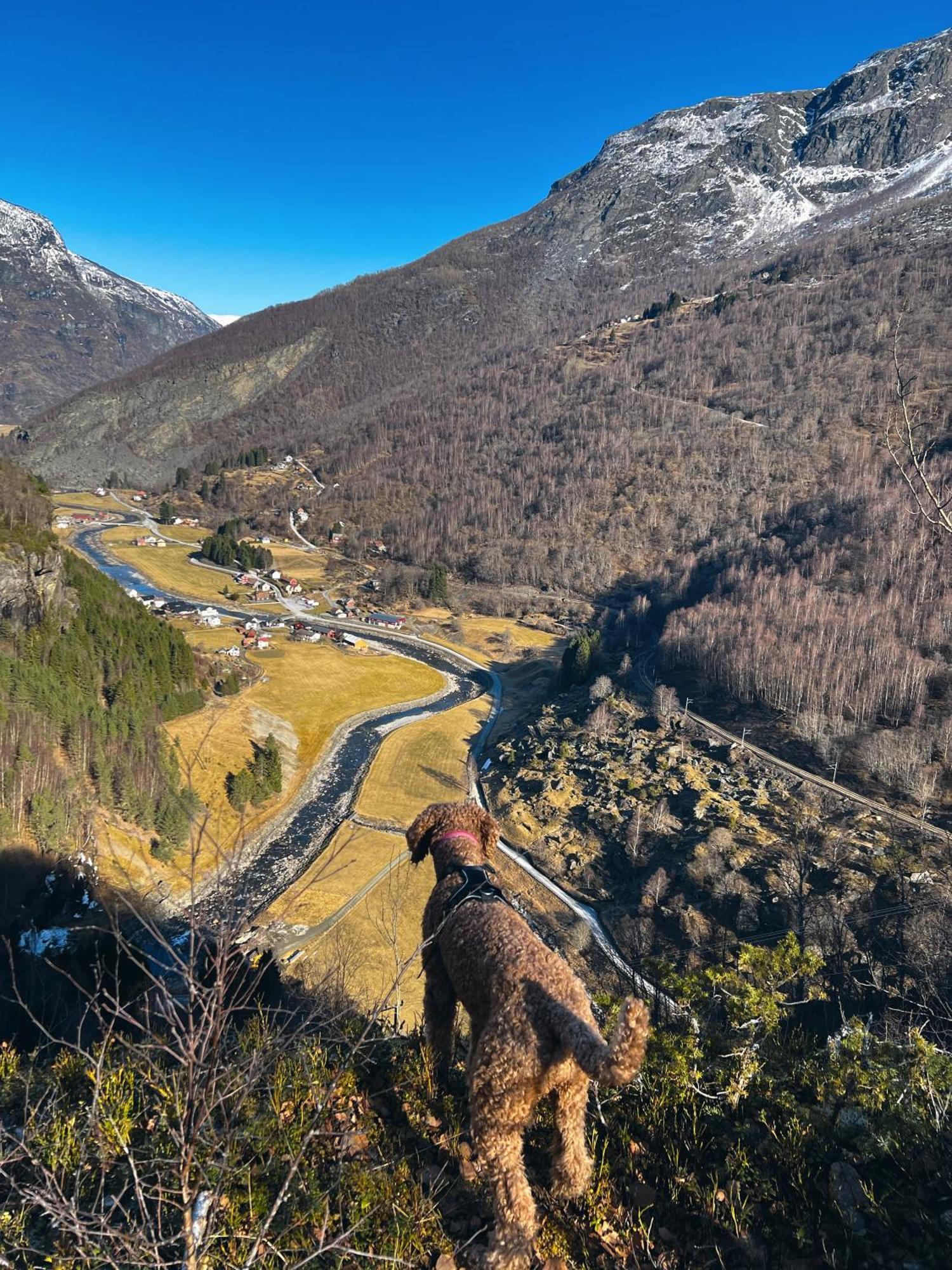 Gjorven Flam